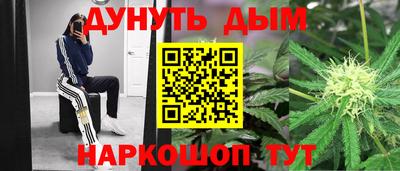 сатива Аргун