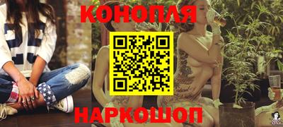 сатива Аргун