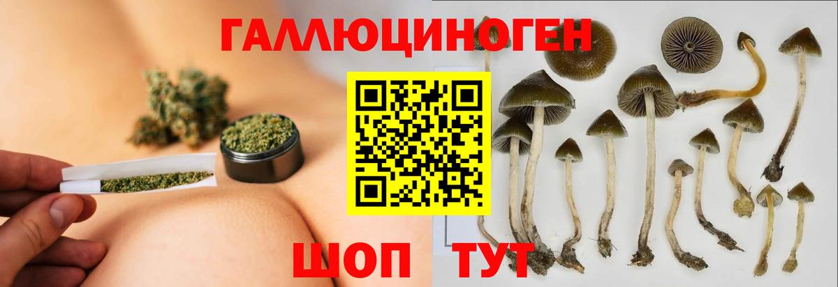 Псилоцибиновые грибы прущие грибы  Вход с VPN  дарнет шоп  Асино 